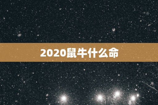 2025鼠牛什么命