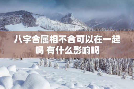八字合属相不合可以在一起吗 有什么影响吗