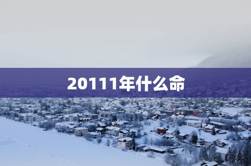 20111年什么命