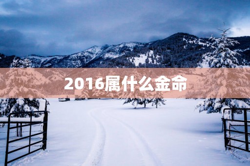 2016属什么金命