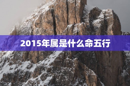 2015年属是什么命五行