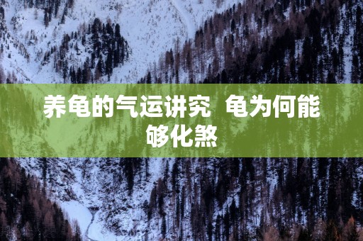 养龟的气运讲究  龟为何能够化煞