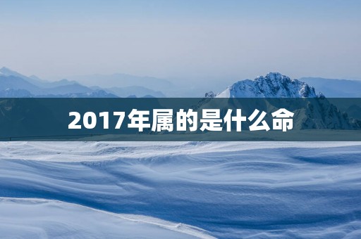 2017年属的是什么命