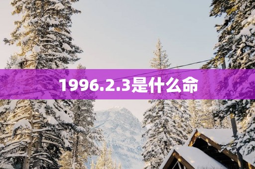 1996.2.3是什么命
