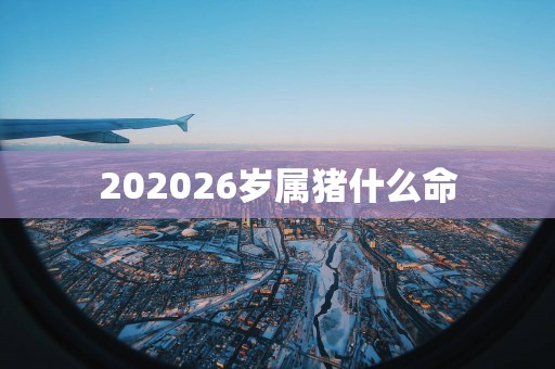 202526岁属猪什么命