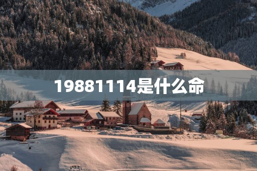 19881114是什么命