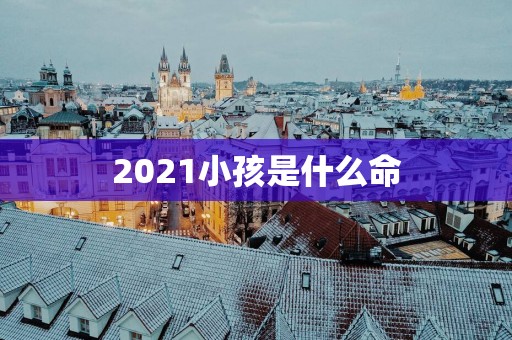 2025小孩是什么命