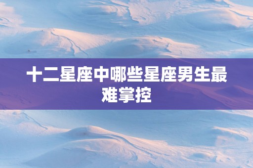 十二星座中哪些星座男生最难掌控