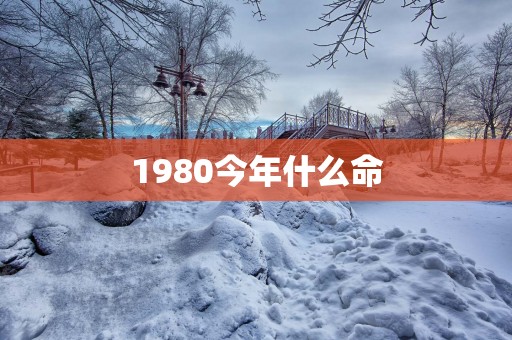 1980今年什么命