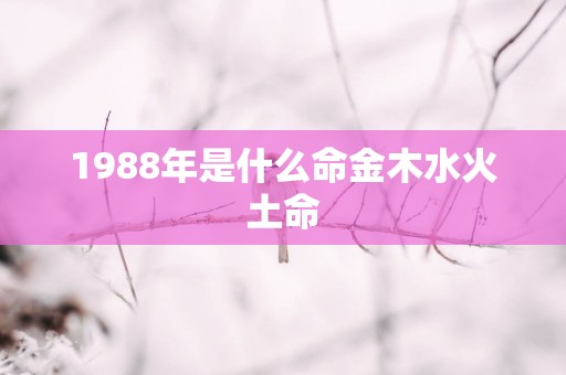 1988年是什么命金木水火土命