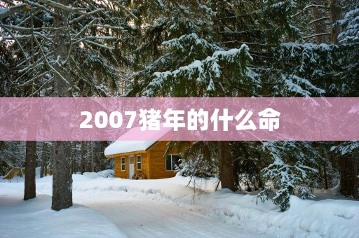 2007猪年的什么命