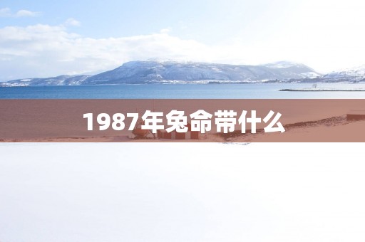 1987年兔命带什么