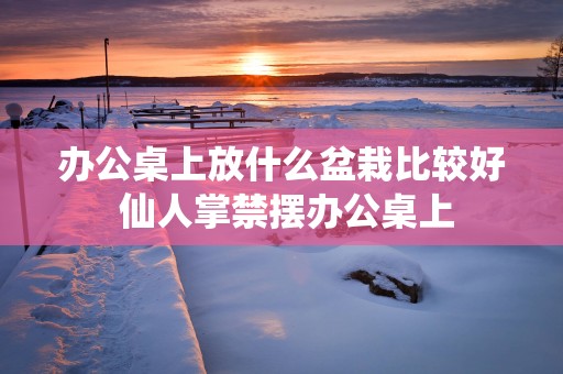 办公桌上放什么盆栽比较好 仙人掌禁摆办公桌上