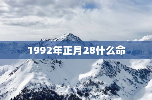 1992年正月28什么命