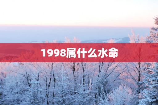 1998属什么水命
