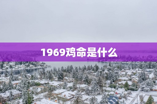 1969鸡命是什么