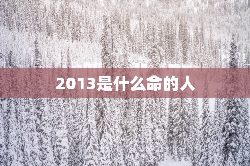 2013是什么命的人