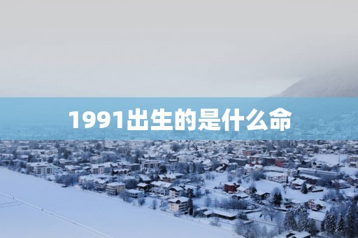 1991出生的是什么命