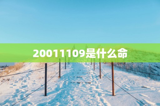 20011109是什么命