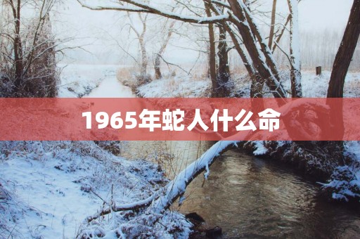 1965年蛇人什么命