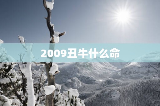 2009丑牛什么命