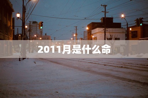 2011月是什么命