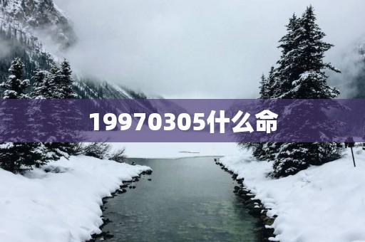 19970305什么命