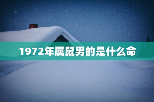 1972年属鼠男的是什么命