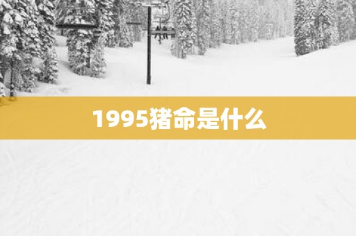 1995猪命是什么