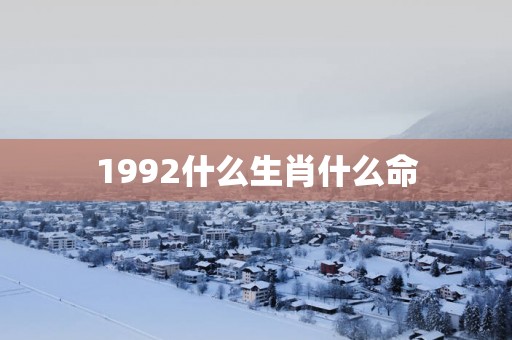 1992什么生肖什么命