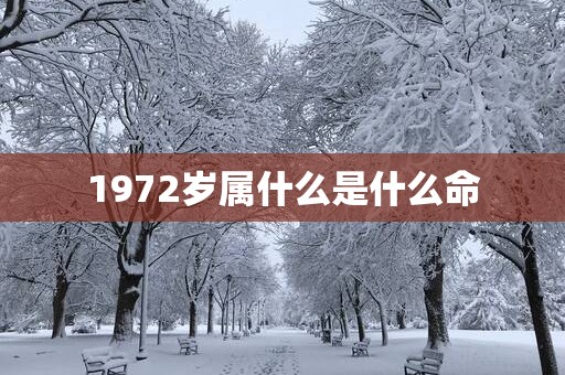 1972岁属什么是什么命