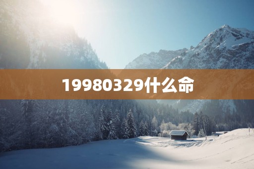 19980329什么命