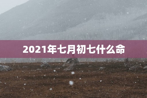 2025年七月初七什么命