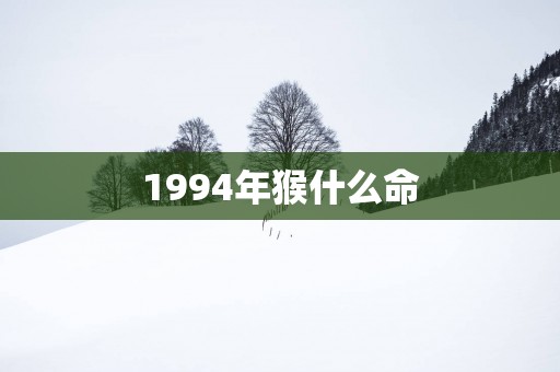 1994年猴什么命