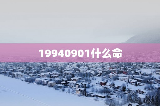 19940901什么命