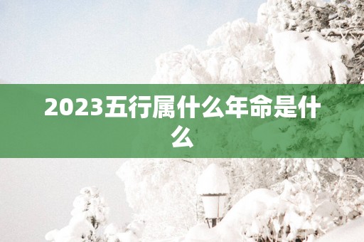 2025五行属什么年命是什么