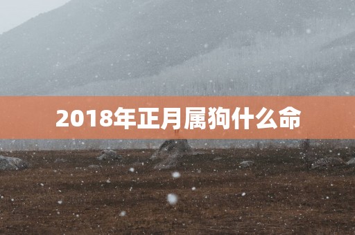 2018年正月属狗什么命