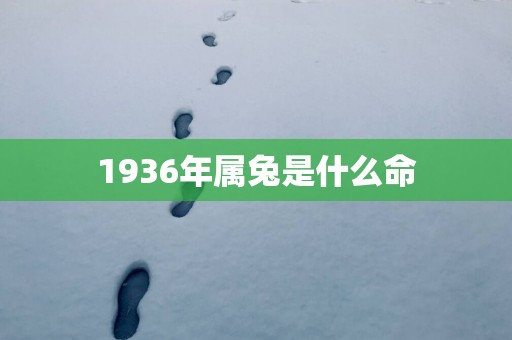 1936年属兔是什么命