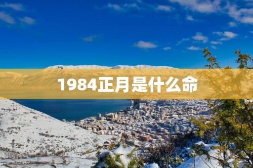 1984正月是什么命