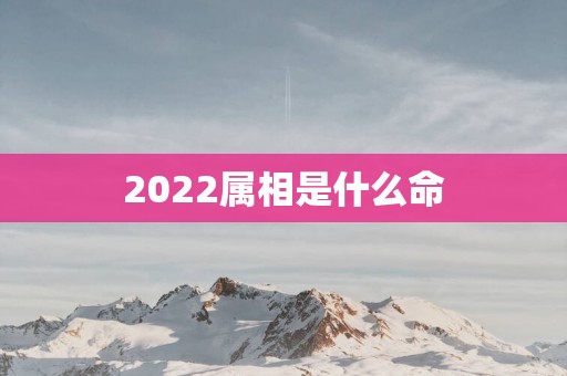 2025属相是什么命
