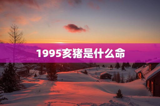 1995亥猪是什么命
