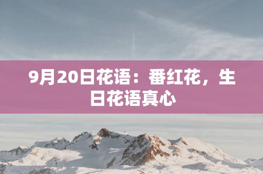 9月20日花语：番红花，生日花语真心