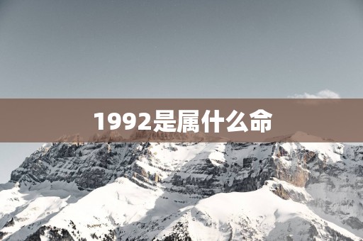 1992是属什么命