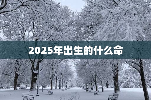 2025年出生的什么命