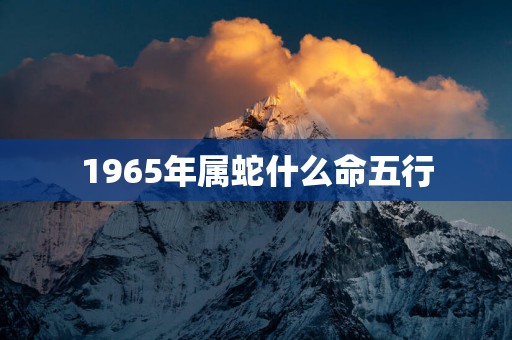 1965年属蛇什么命五行