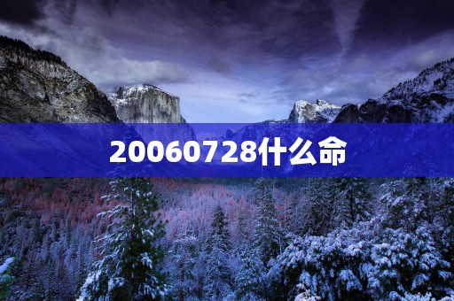 20060728什么命