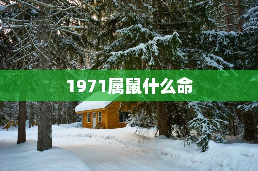 1971属鼠什么命