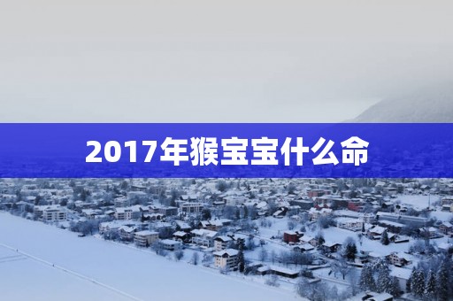 2017年猴宝宝什么命