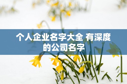 个人企业名字大全 有深度的公司名字