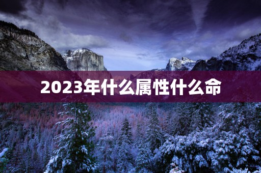 2025年什么属性什么命